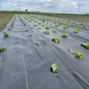 estera de malezas de 4 * 100 m