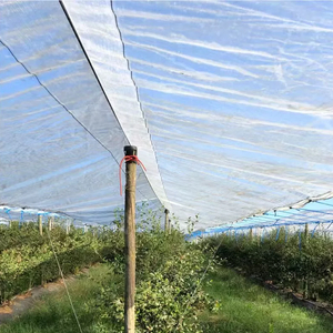 Cubierta de protección Lona de PE impermeable tejida transparente de 160 g para invernaderos agrícolas de frutas de cereza