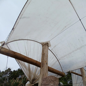 Cubierta de lluvia para huerto de cerezos, lona de PE, cubierta de tela tejida para protección de cerezos