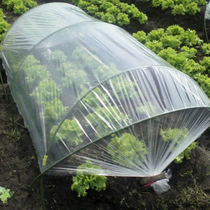 Proveedores Productos de venta caliente Granja Invernadero Película agrícola usada con cubierta UV Cultivo de hortalizas y flores