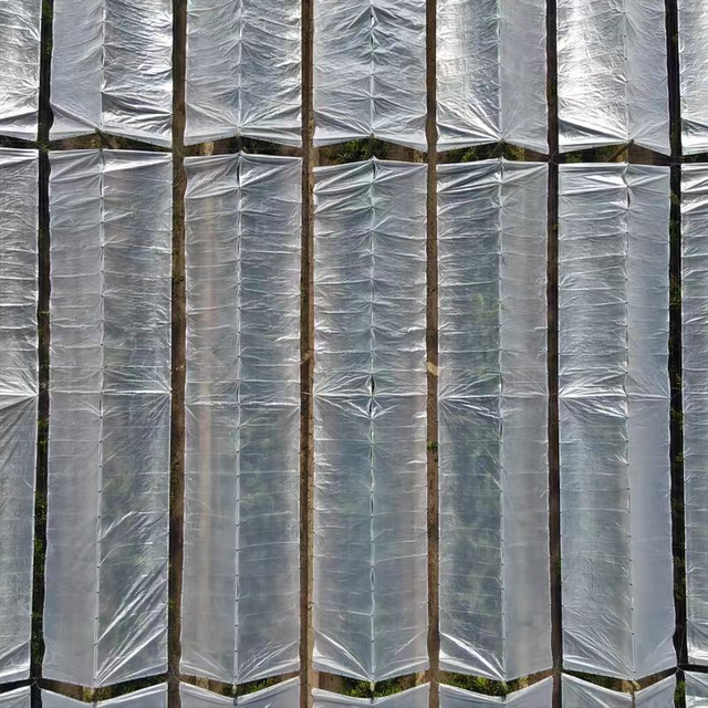 Precio de fábrica impermeable tejido de plástico Film Film Orchard cubierta de lluvia para cerezas