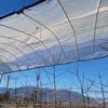 Cubierta de lluvia para huerto de cerezos, lona de PE, cubierta de tela tejida para cerezo