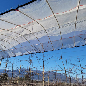 Cubierta plástica reforzada de la cereza de la huerta cubierta de la lluvia de la cereza cubierta de la lluvia antiácida lona reforzada polivinílica