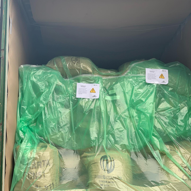 Verde 20 pies 40 pies 100-150 micrones PE Revestimiento de contenedor a granel para Coco Bean