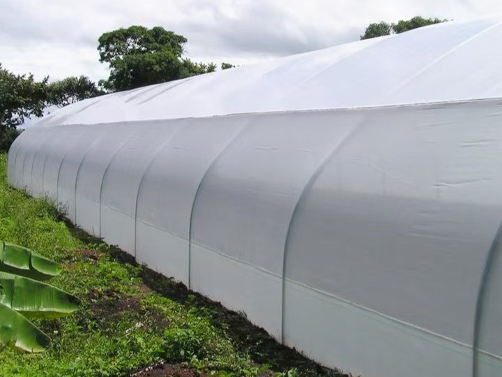 Película de invernadero