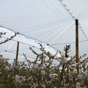 Cubierta de lluvia para huerto de cerezos, lona de PE, cubierta de tela tejida para cerezo